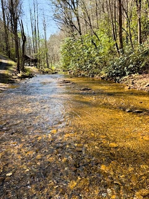 Vacant Land For Sale - 7.68 AC Ellis Creek Road<br/> Polk County, Reliance, TN 37369