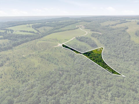 Vacant Land For Sale - Triple Ridge, Lot #14 Trail<br/> Grandview, TN 37337