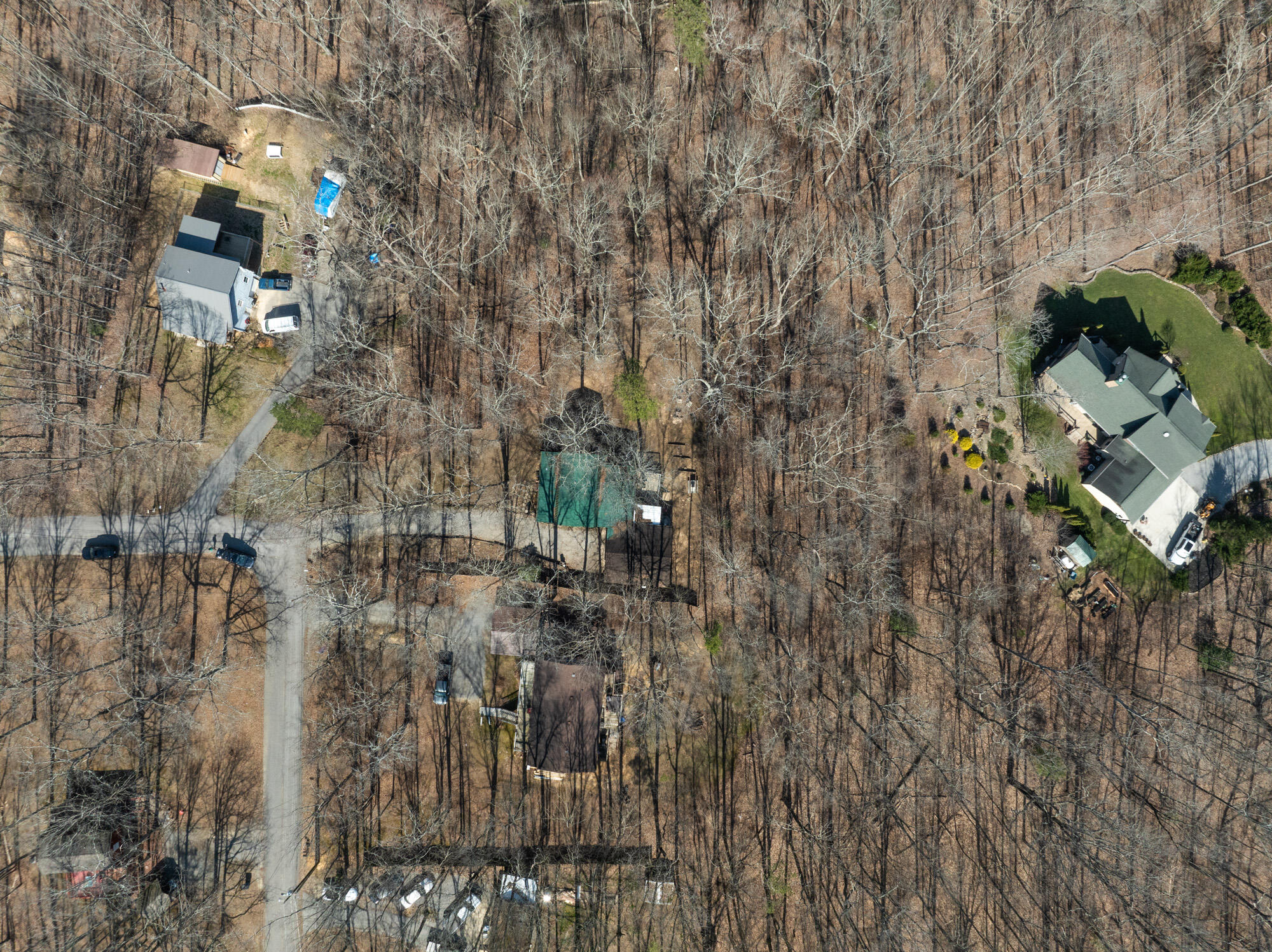 71 Miller Cove Circle, Signal Mountain, Tennessee image 30