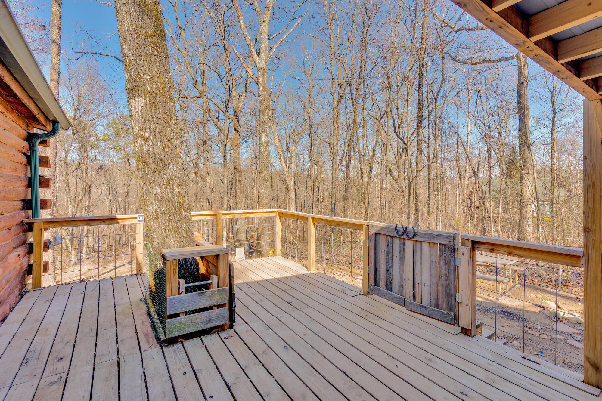 71 Miller Cove Circle, Signal Mountain, Tennessee image 39