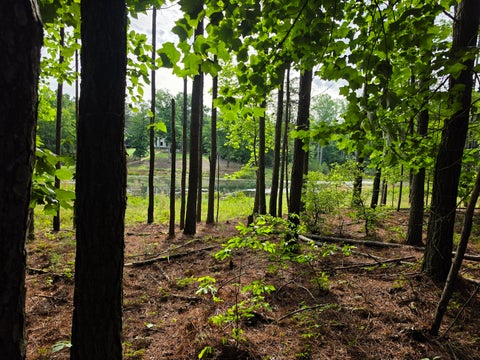 Vacant Land For Sale - 745 Crockett Pointe<br/> Jasper, TN 37347