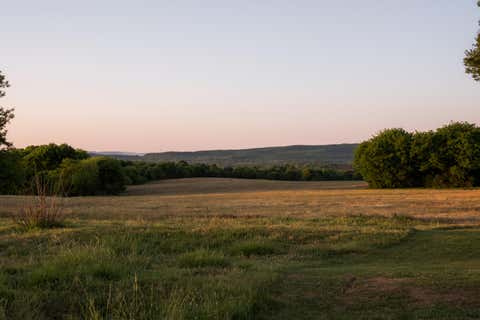 Photo of 778 County Road 65, Collinsville, AL 35961 (MLS # 1538005)