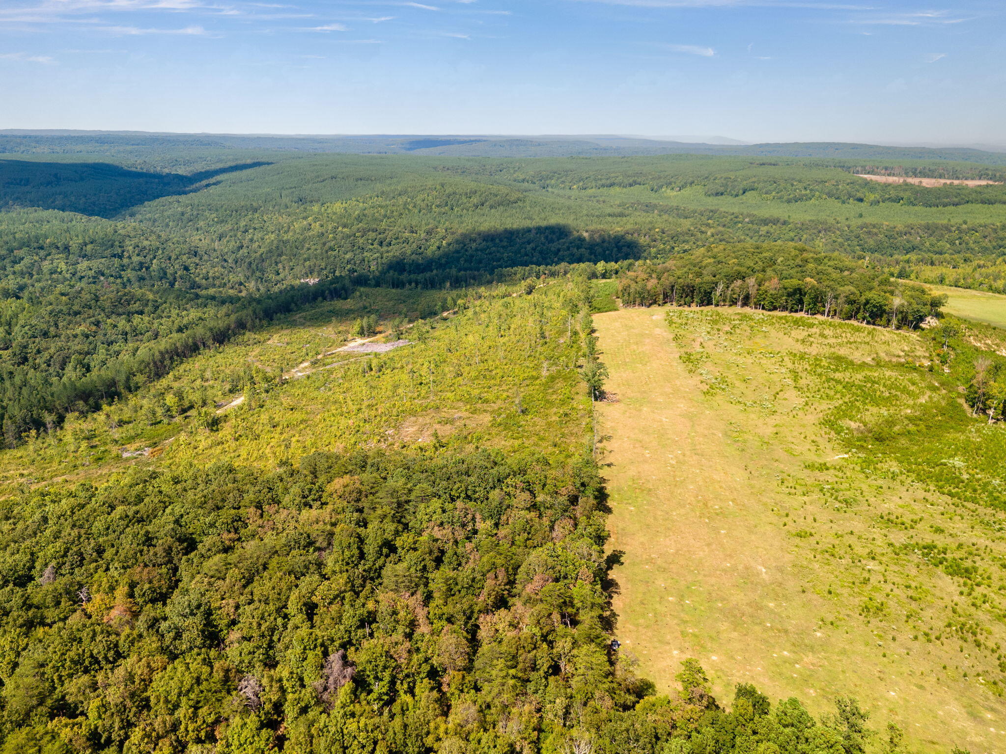 11103 Worley Road, Soddy Daisy, Tennessee image 9