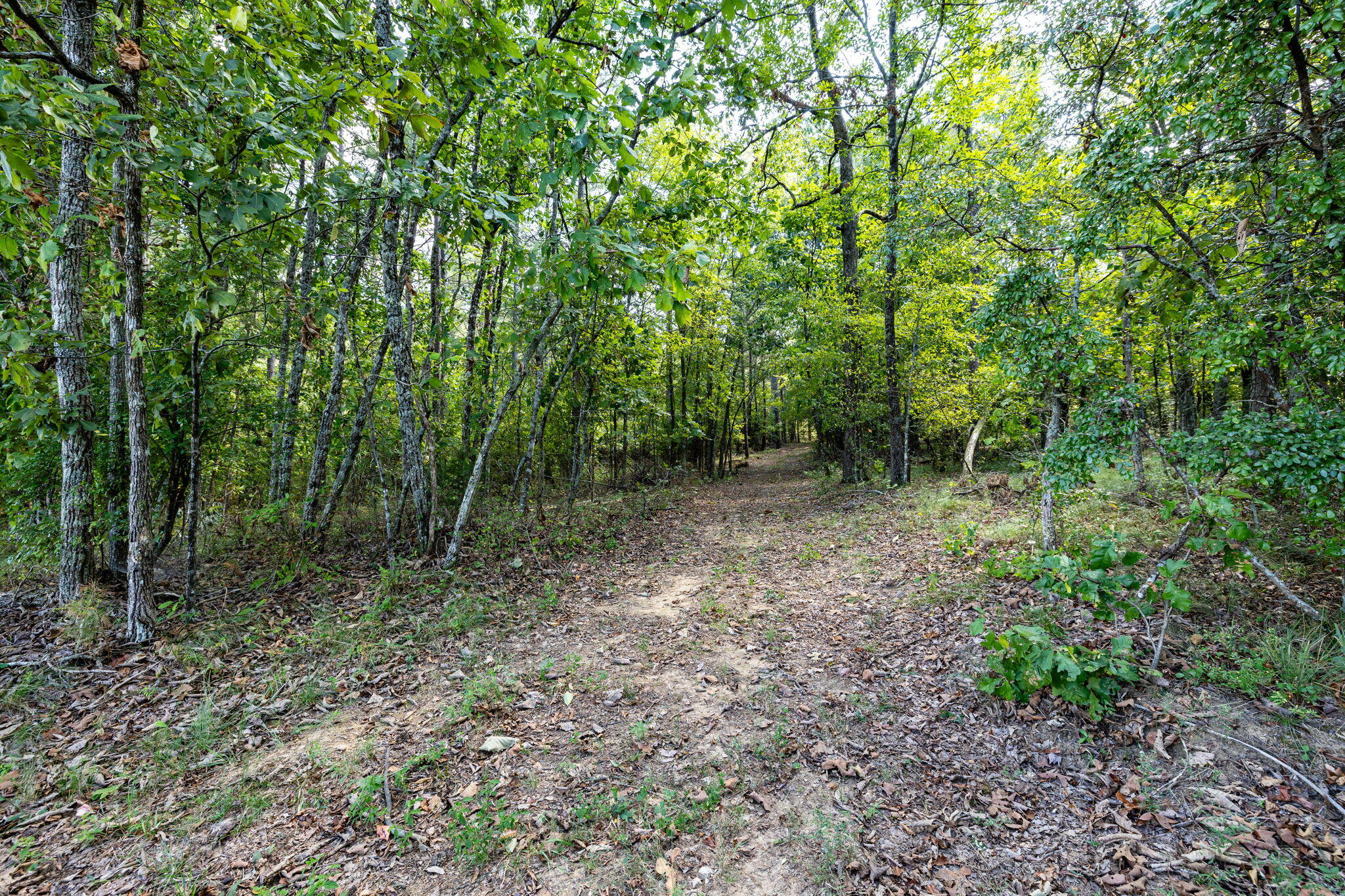 11103 Worley Road, Soddy Daisy, Tennessee image 3