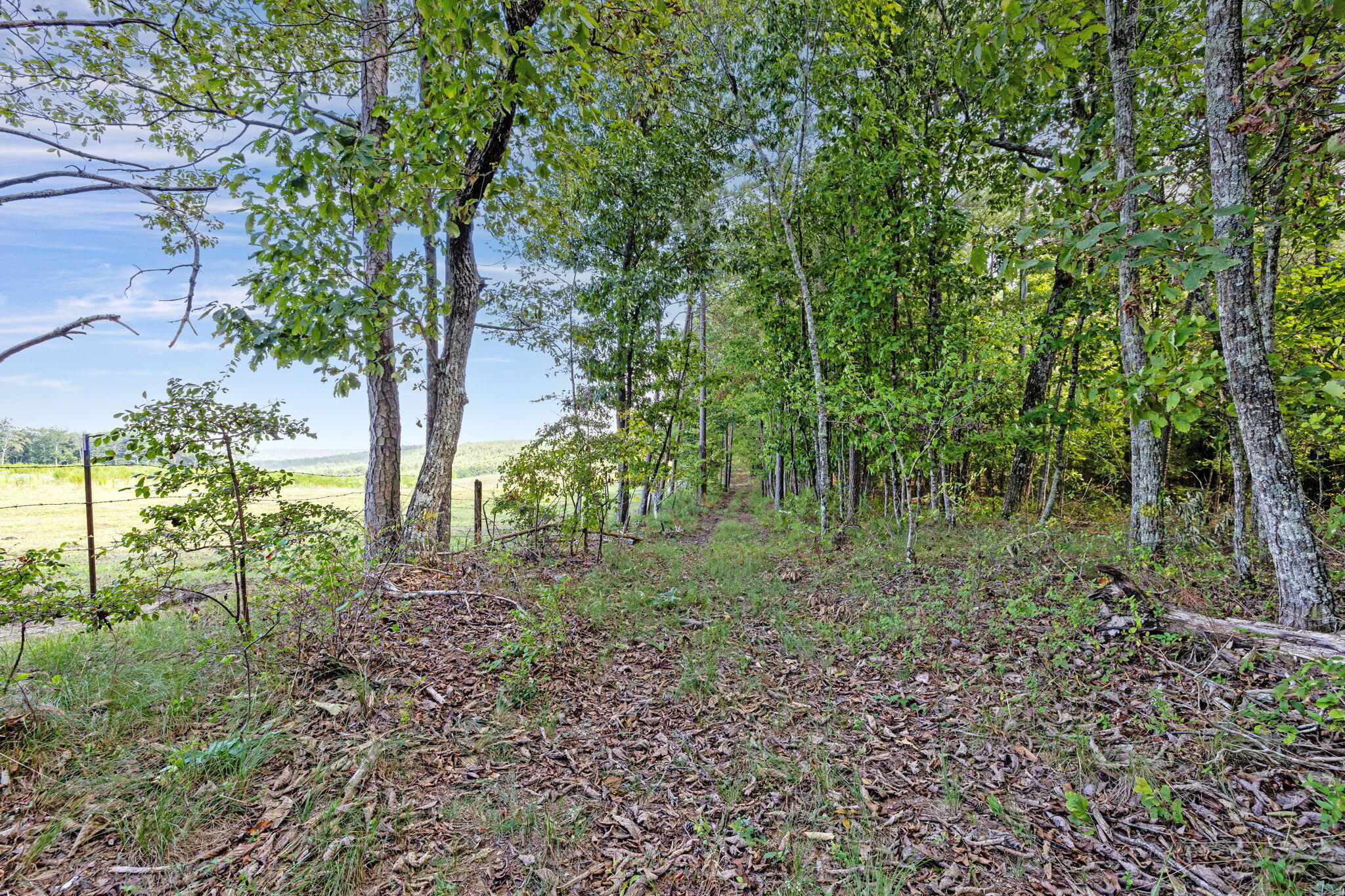 11103 Worley Road, Soddy Daisy, Tennessee image 1