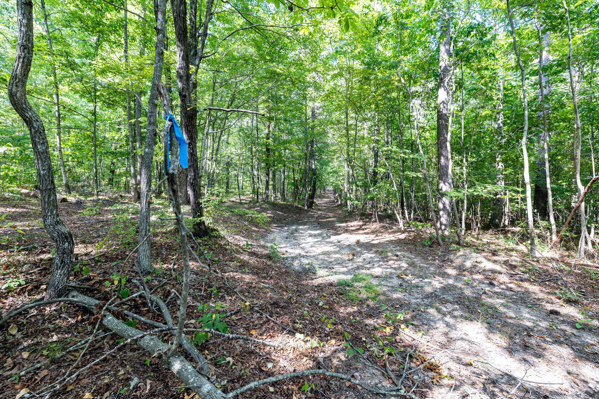 11103 Worley Road, Soddy Daisy, Tennessee image 4