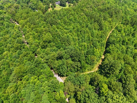 Vacant Land For Sale - W Francis Springs Road<br/> Whitwell, TN 37397