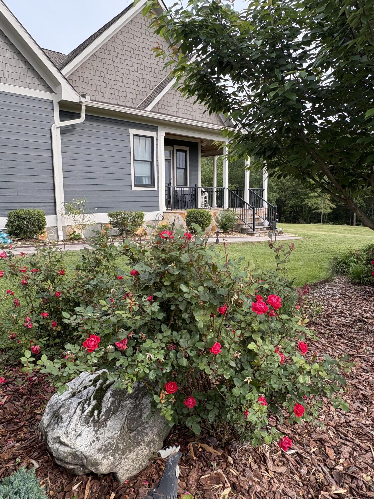 217 Jasper Springs Drive, Jasper, Tennessee image 15