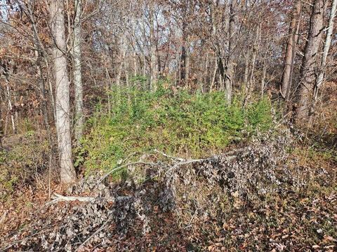 Photo of Lts 29/30 Smyrna Heights Road, Evensville, TN 37332 (MLS # 1510543)