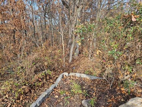 Tiny photo for Lts 29/30 Smyrna Heights Road, Evensville, TN 37332 (MLS # 1510543)