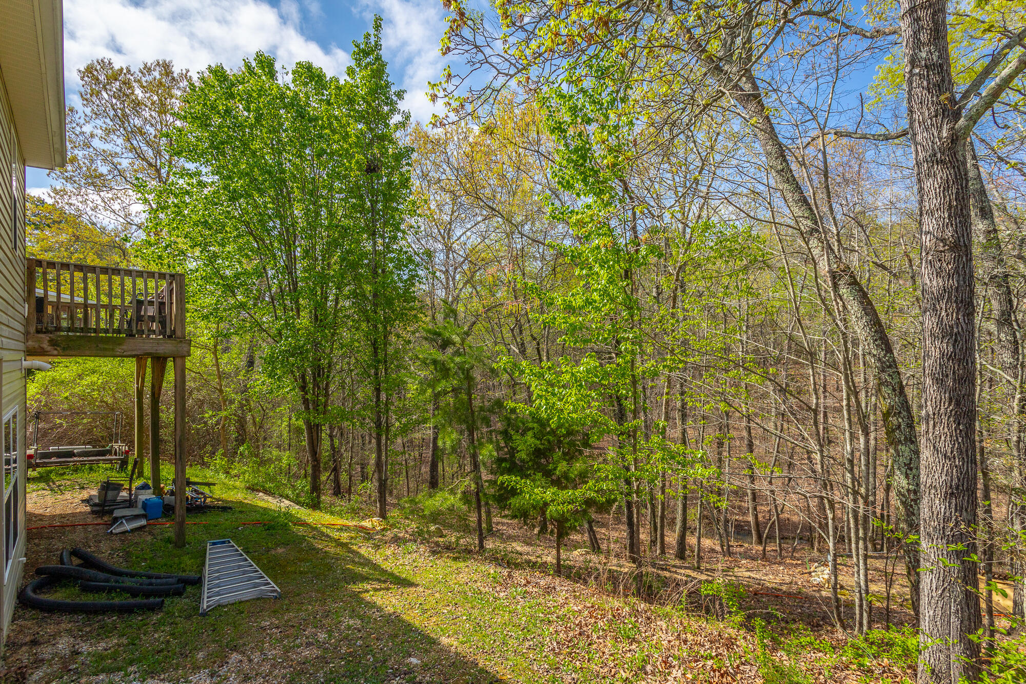 7153 British Road, Ooltewah, Tennessee image 31