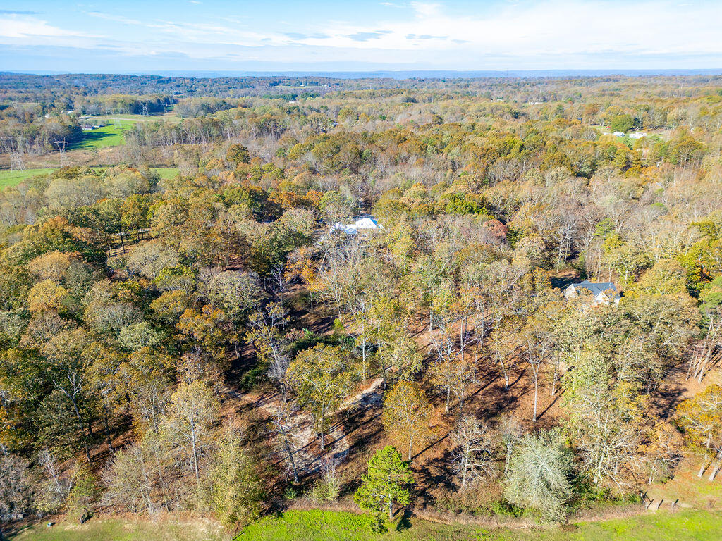 124 Co Rd 410, Bryant, Alabama image 48