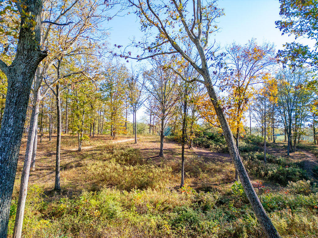 Bryant, Alabama 35958, United States, 5 Bedrooms Bedrooms, ,3 BathroomsBathrooms,Residential,Contingent,32676