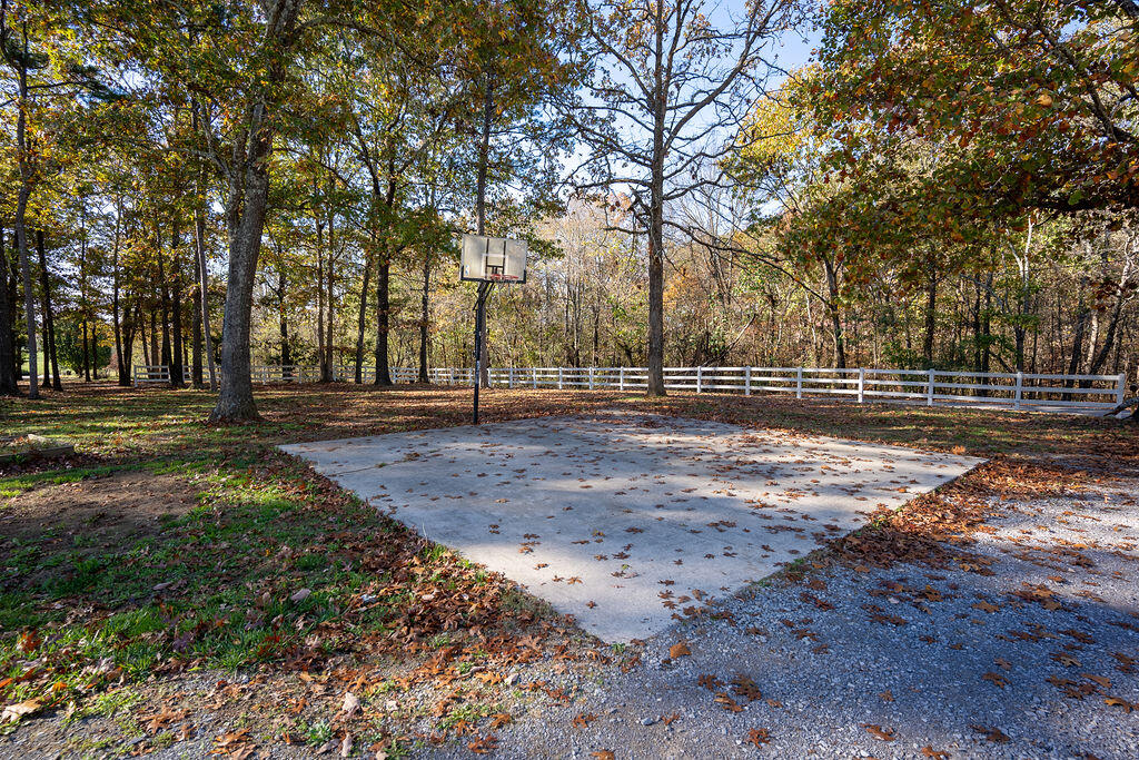 124 Co Rd 410, Bryant, Alabama image 39