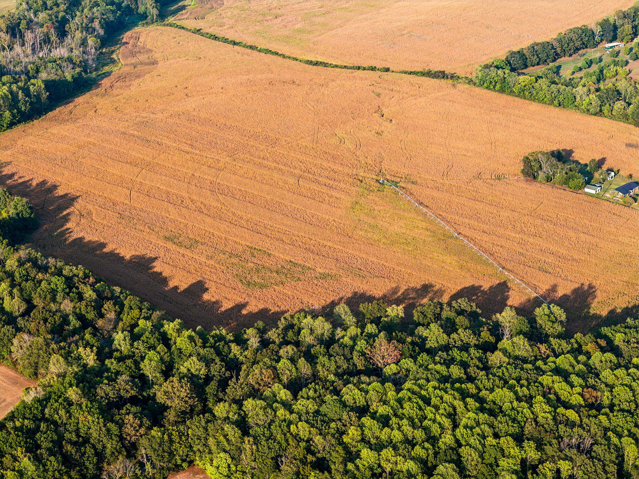 7896 Shady Grove Rd Road, Manchester, Tennessee image 42