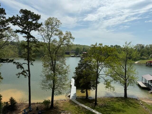 302 Key Cove Road, Spring City, Tennessee image 4