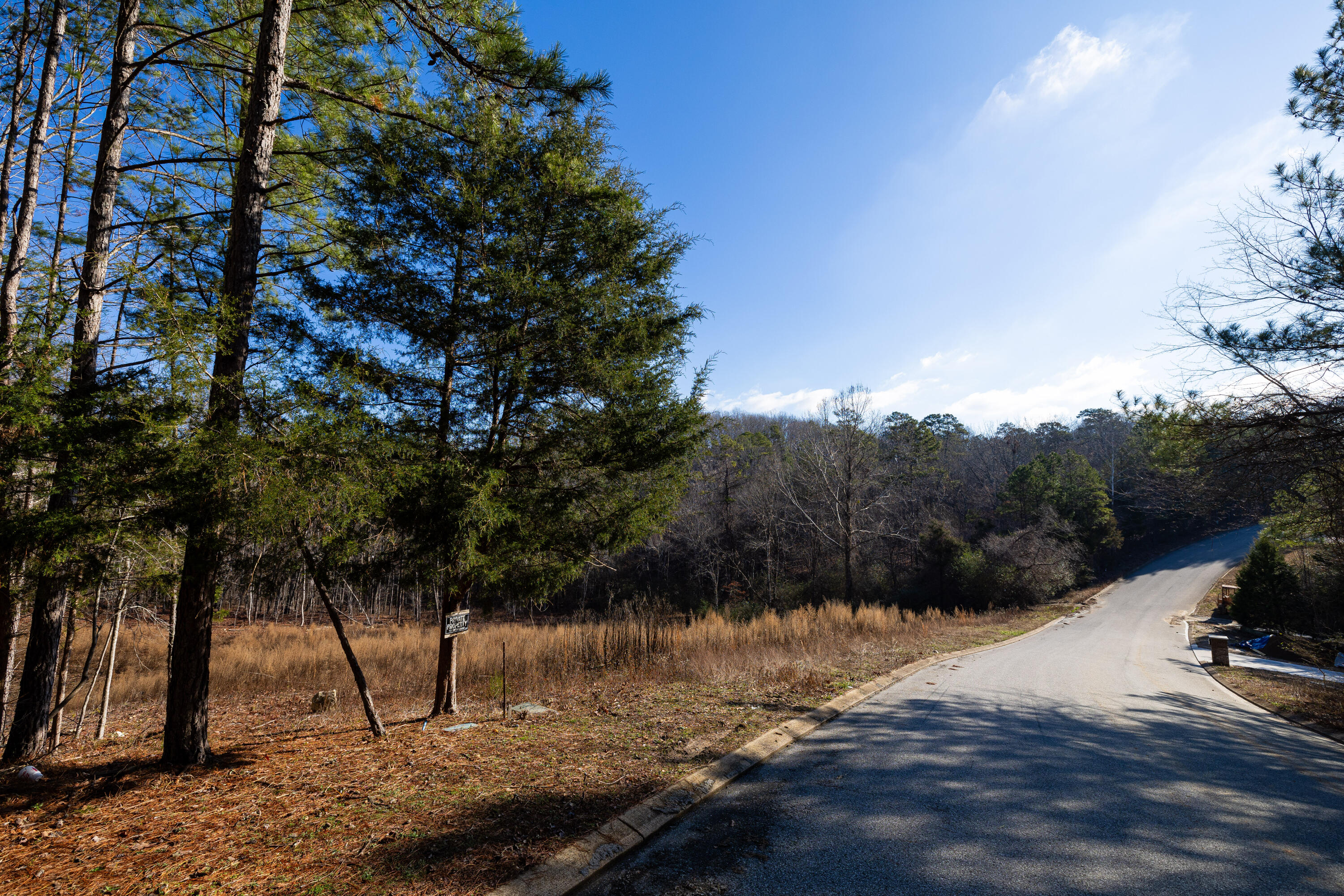 6601 Flagstone Drive, Ooltewah, Tennessee image 6