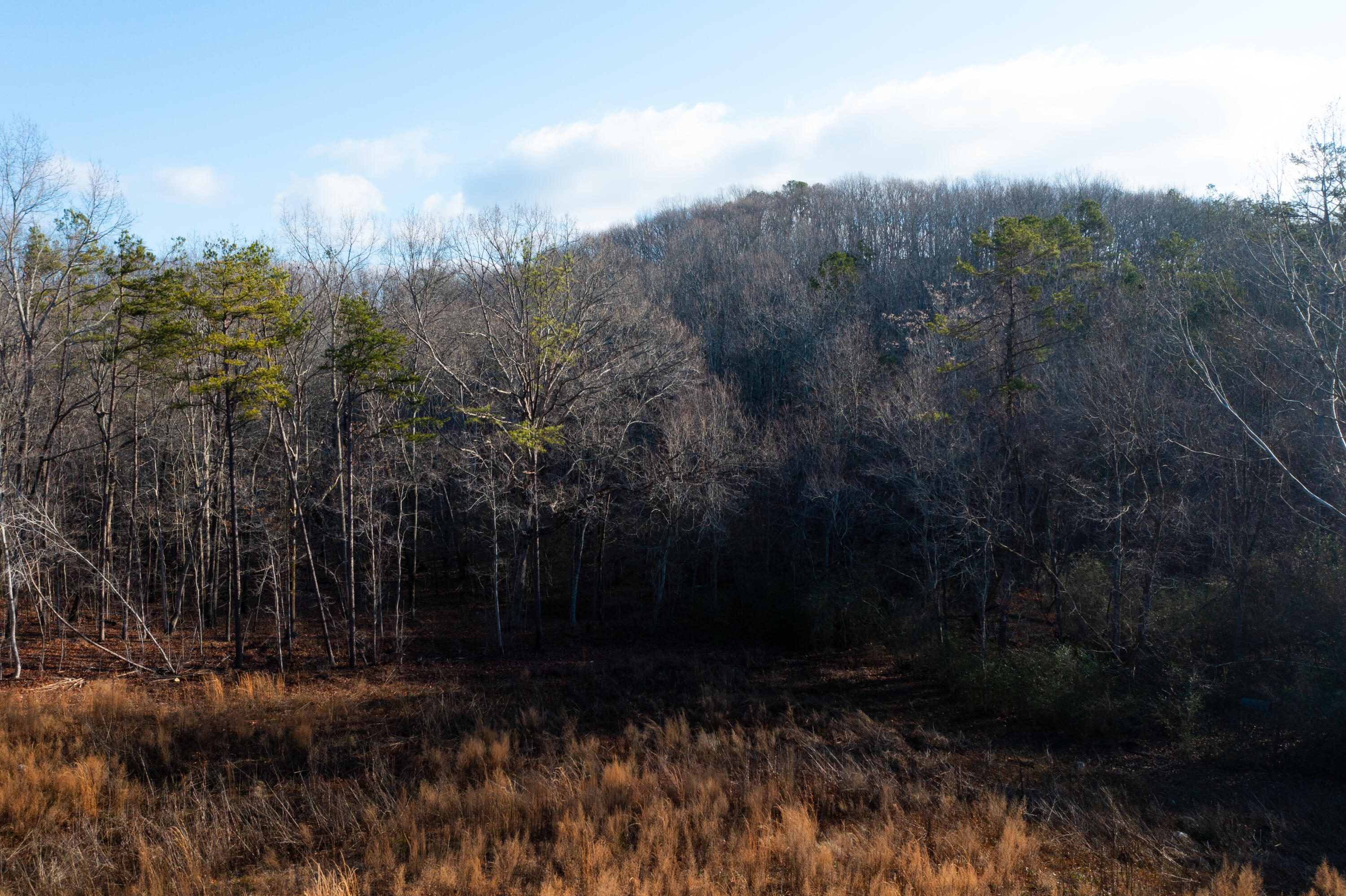 6601 Flagstone Drive, Ooltewah, Tennessee image 3