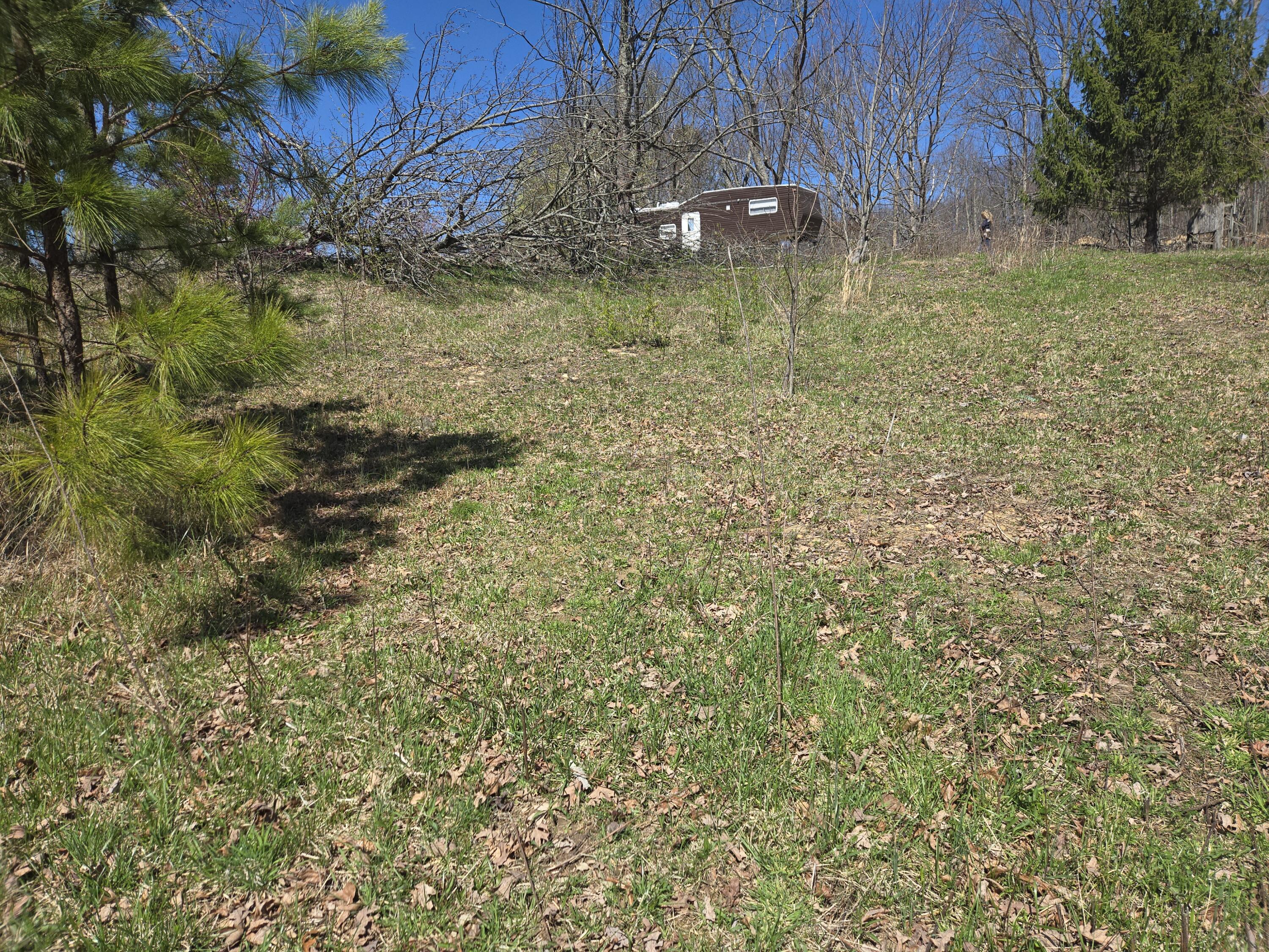6 Blaylock Lane # 6, Palmer, Tennessee image 5