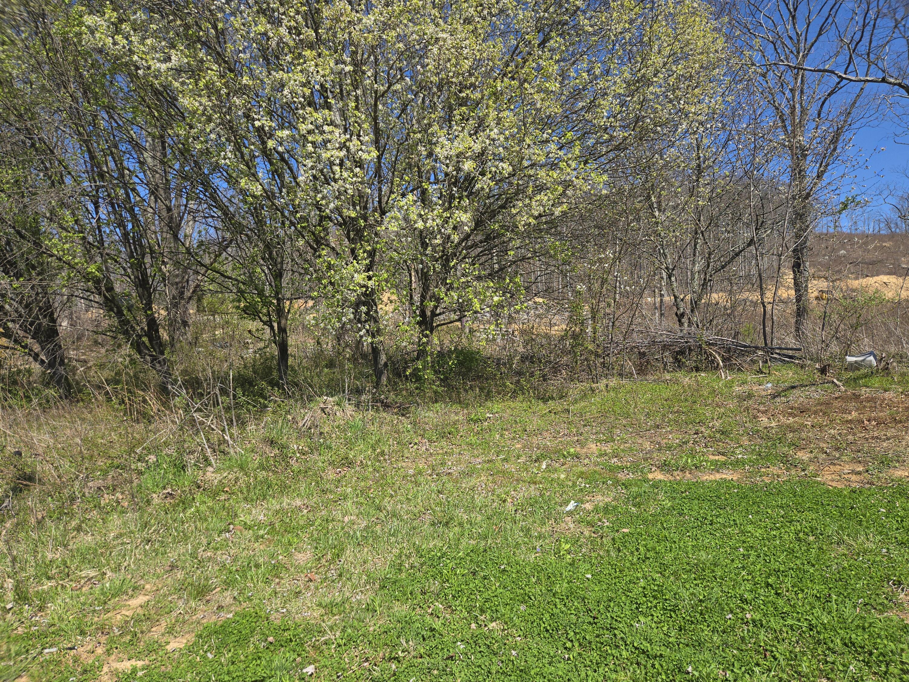6 Blaylock Lane # 6, Palmer, Tennessee image 2