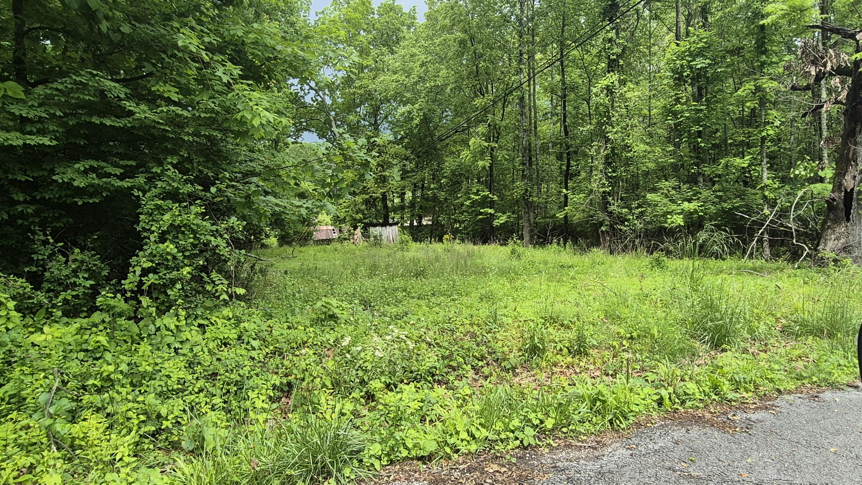 405 Spring Street, Monteagle, Tennessee image 31