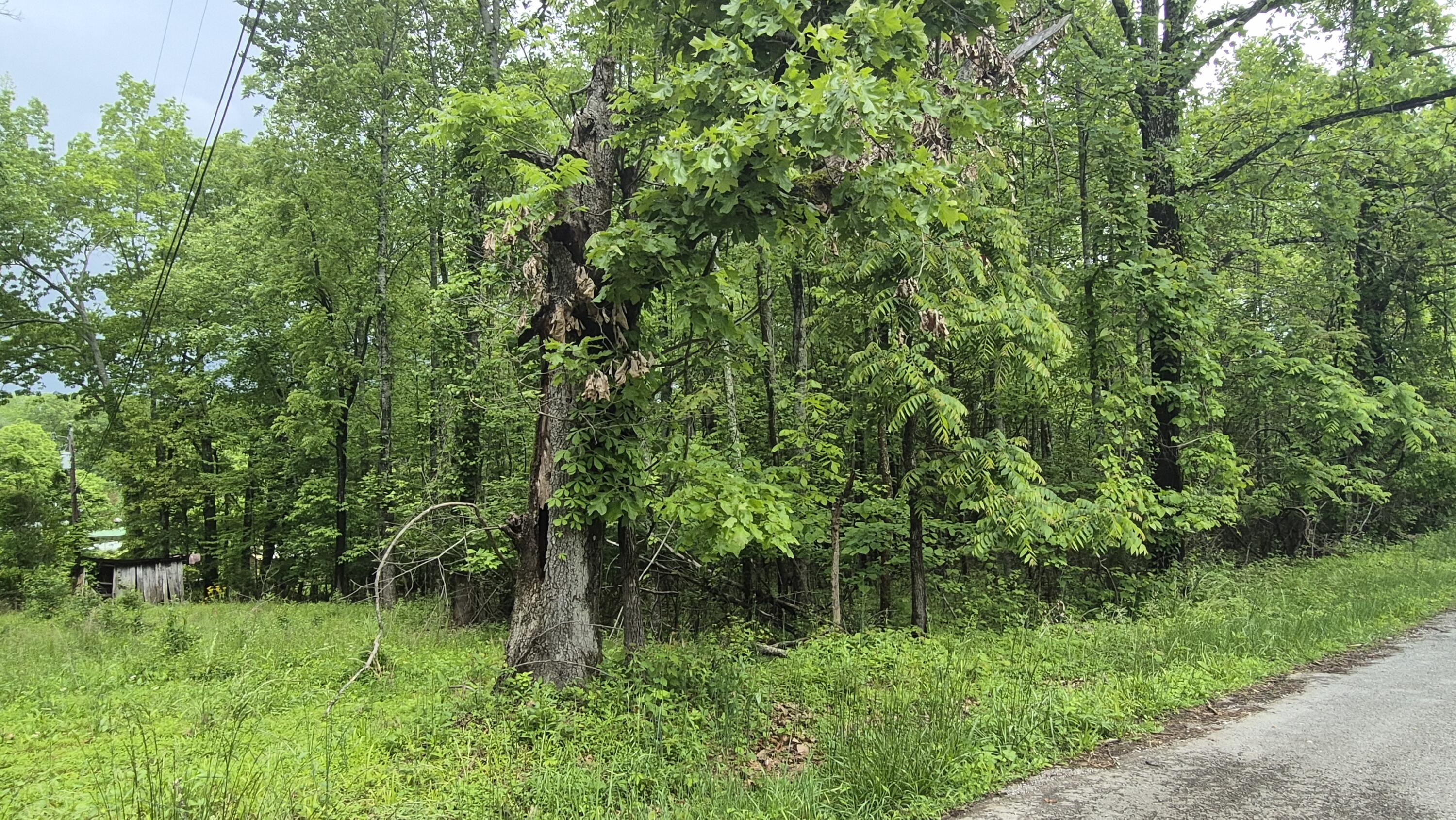405 Spring Street, Monteagle, Tennessee image 29
