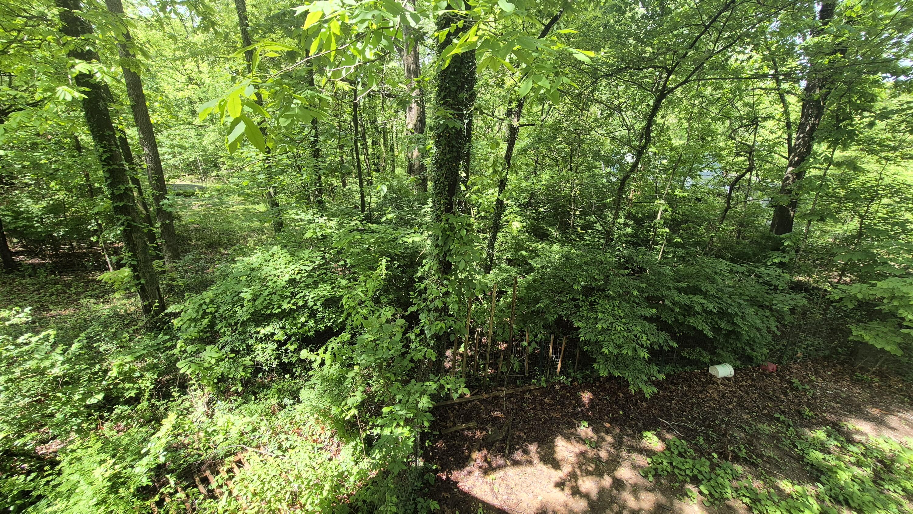 405 Spring Street, Monteagle, Tennessee image 22