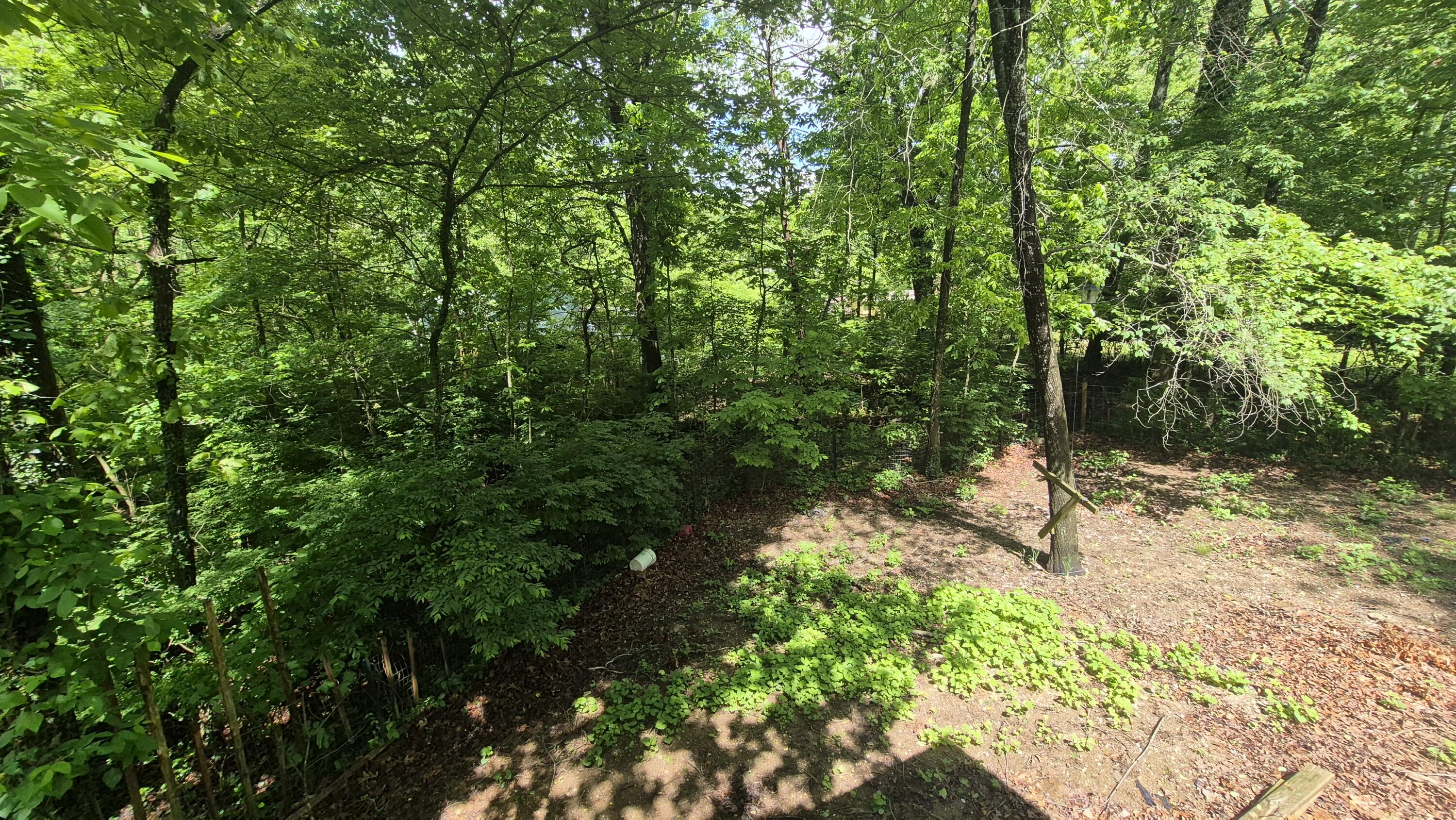 405 Spring Street, Monteagle, Tennessee image 23