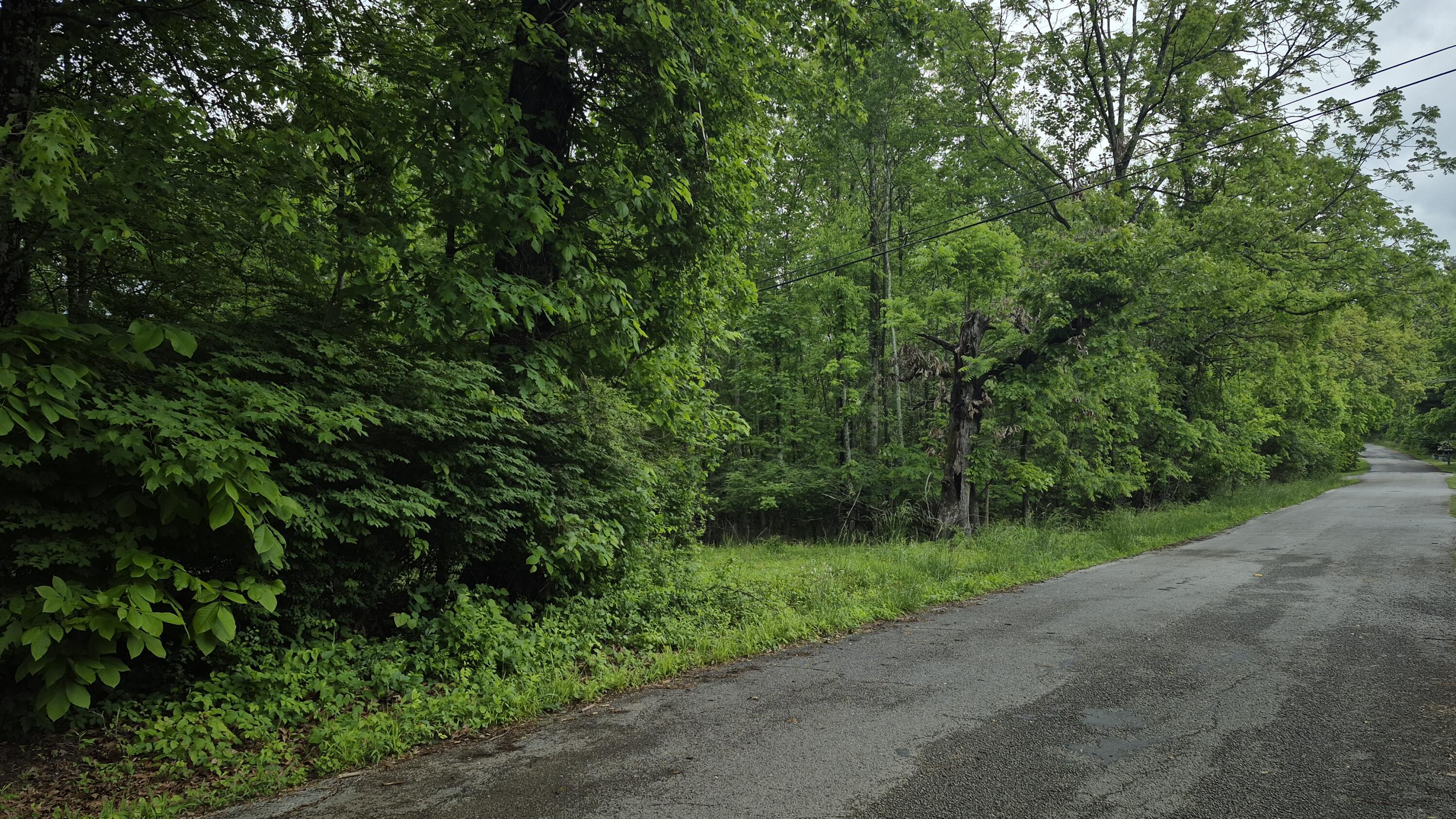 405 Spring Street, Monteagle, Tennessee image 27