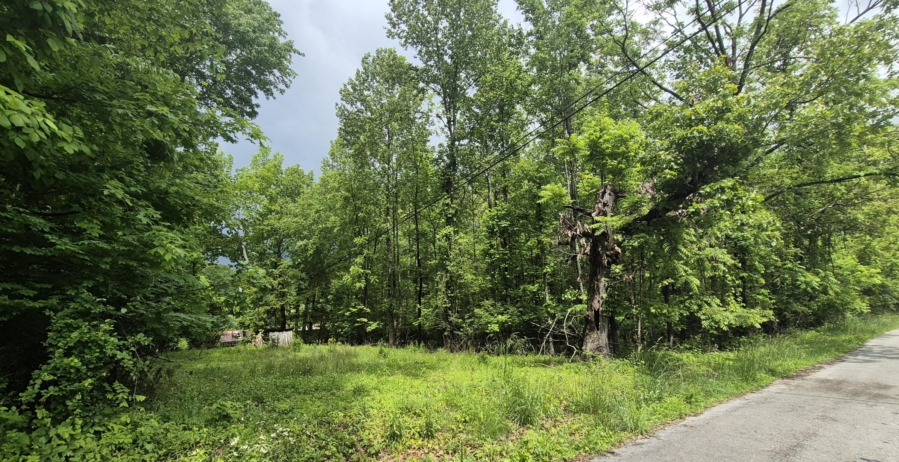 405 Spring Street, Monteagle, Tennessee image 28