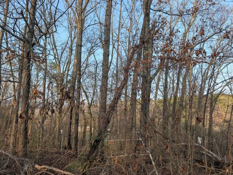 Tiny photo for 0 Pine Breeze Circle, Rockwood, TN 37854 (MLS # 1529015)