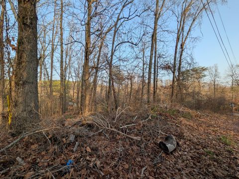 Tiny photo for 0 Pine Breeze Circle, Rockwood, TN 37854 (MLS # 1529015)