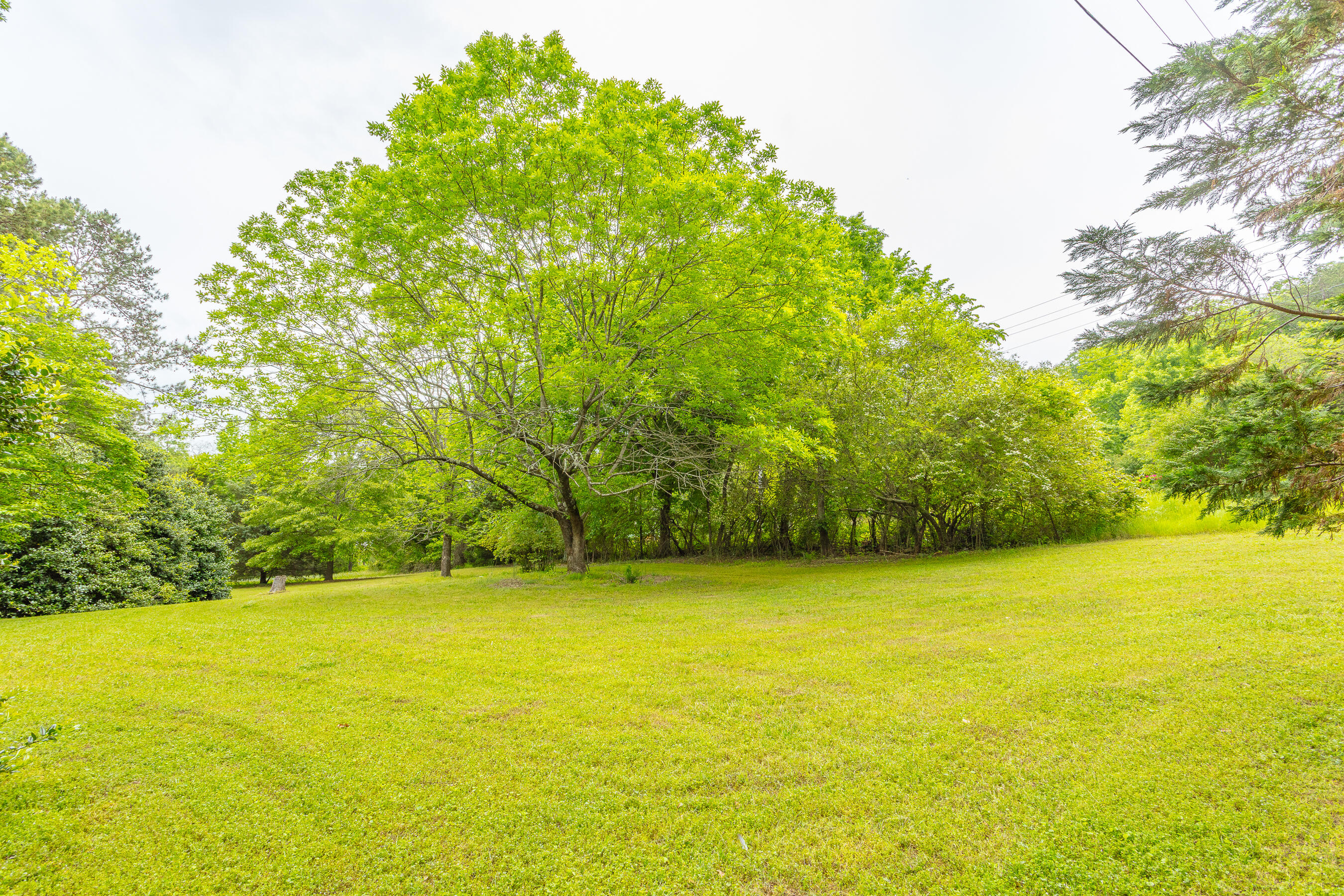 26 Goshen Lane, Ringgold, Georgia image 8