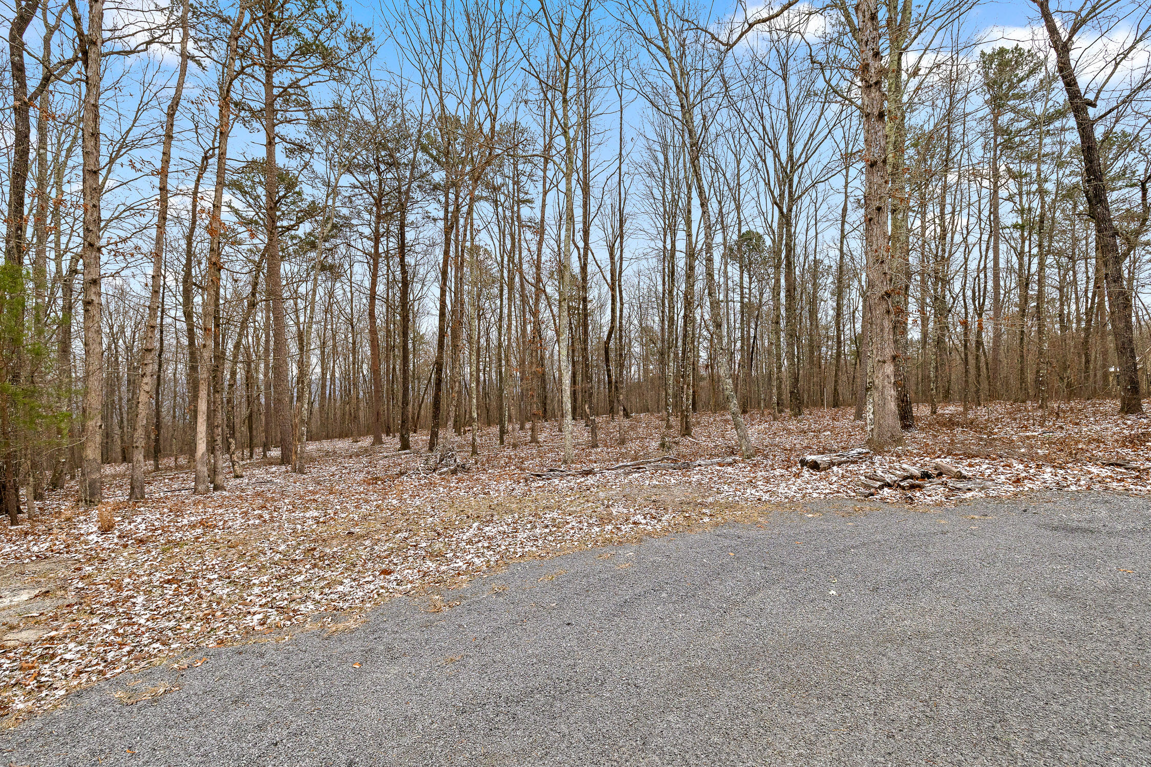 Twilight Trail #523, Dunlap, Tennessee image 3