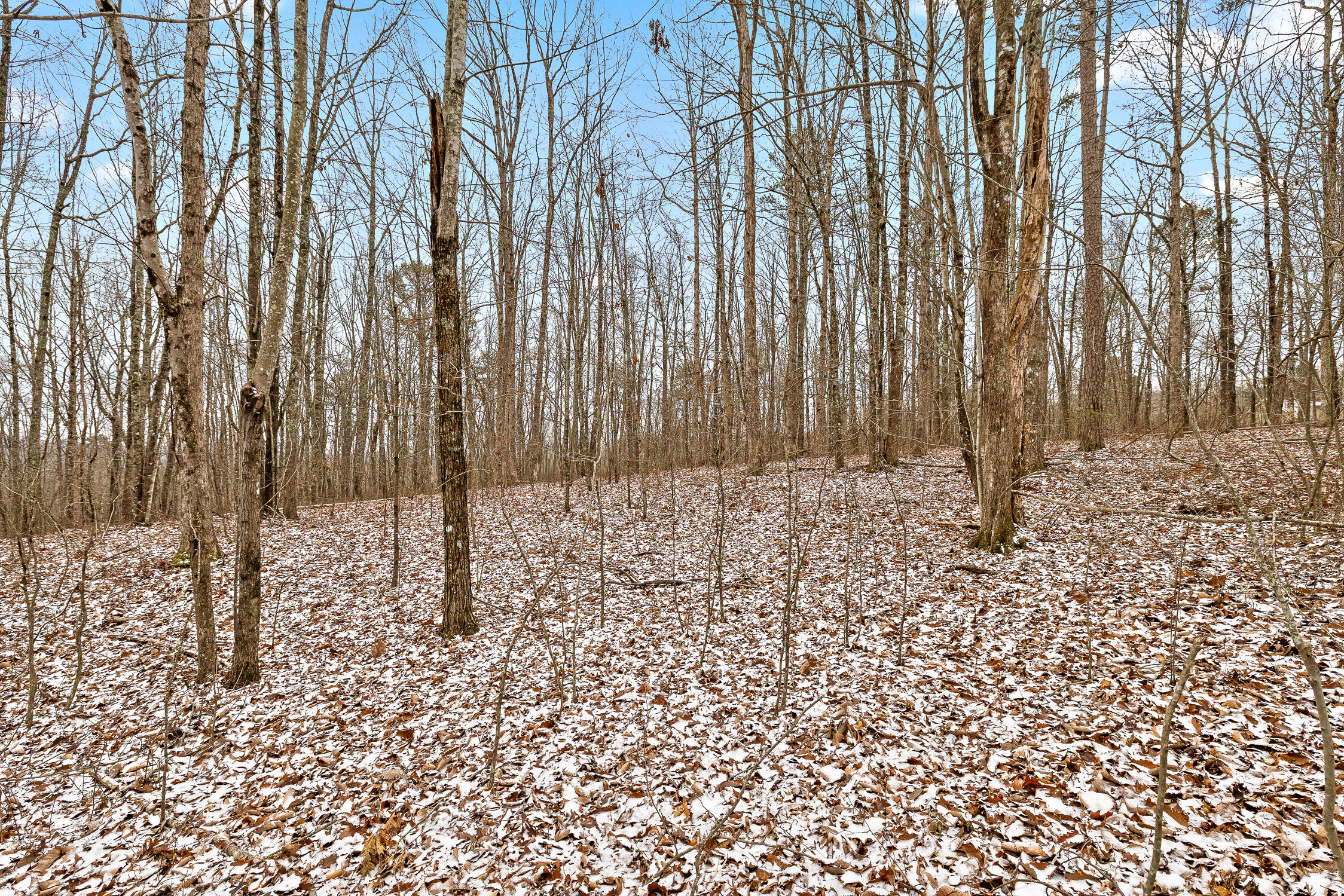 Twilight Trail #523, Dunlap, Tennessee image 16