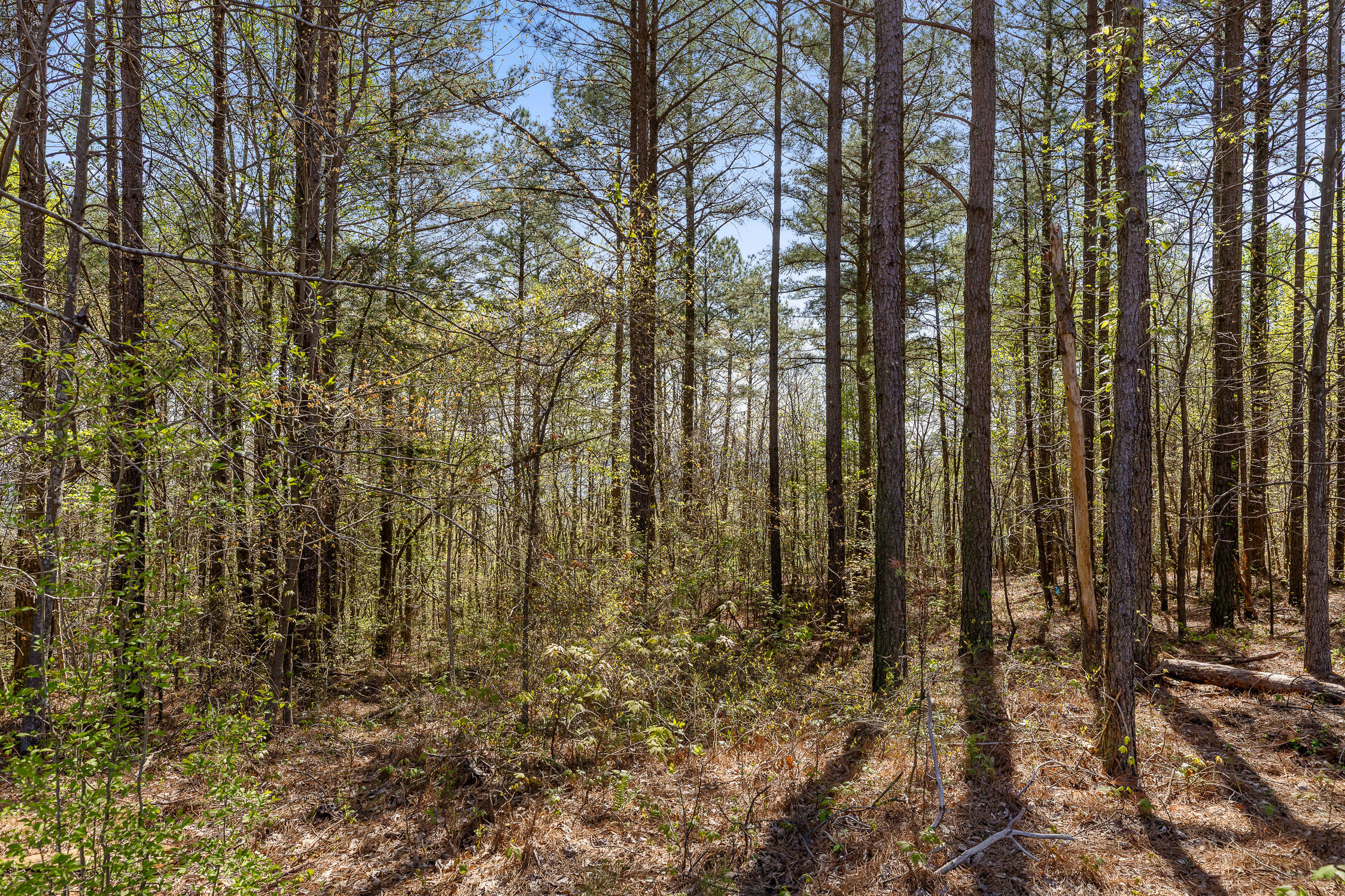0 High Ground Lot 2233 Road