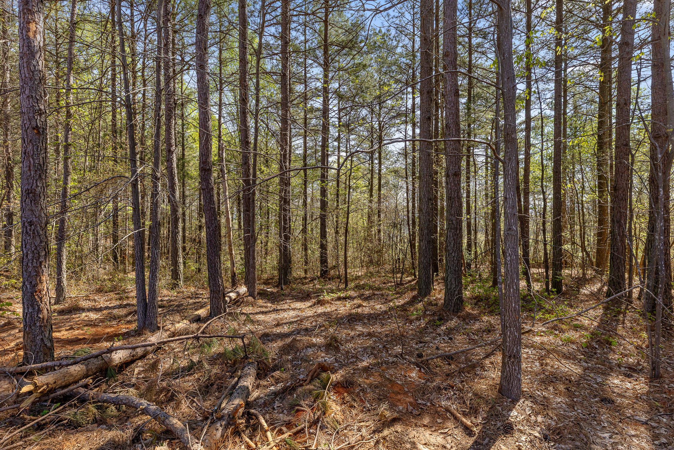 0 High Ground Lot 2233 Road