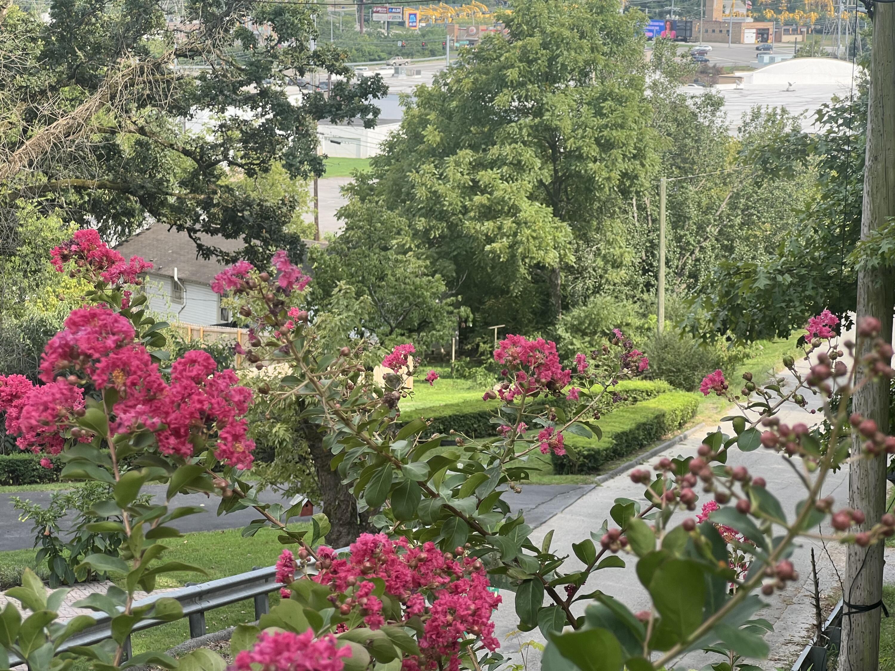 111 Dal Brown Rd Rd, Chattanooga, Tennessee image 4