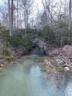 142 COLE RD, DEER LODGE, TN 37726 - Image 9b792dfdd6aebaaf58f0fa0bb5c5e689/1763135287