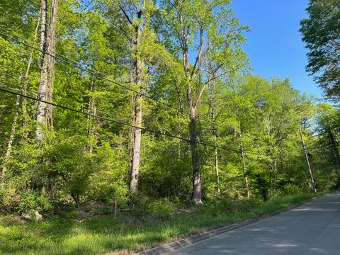 Photo of 5233 Spalding Drive, Ooltewah, TN 37363 (MLS # 1526679)