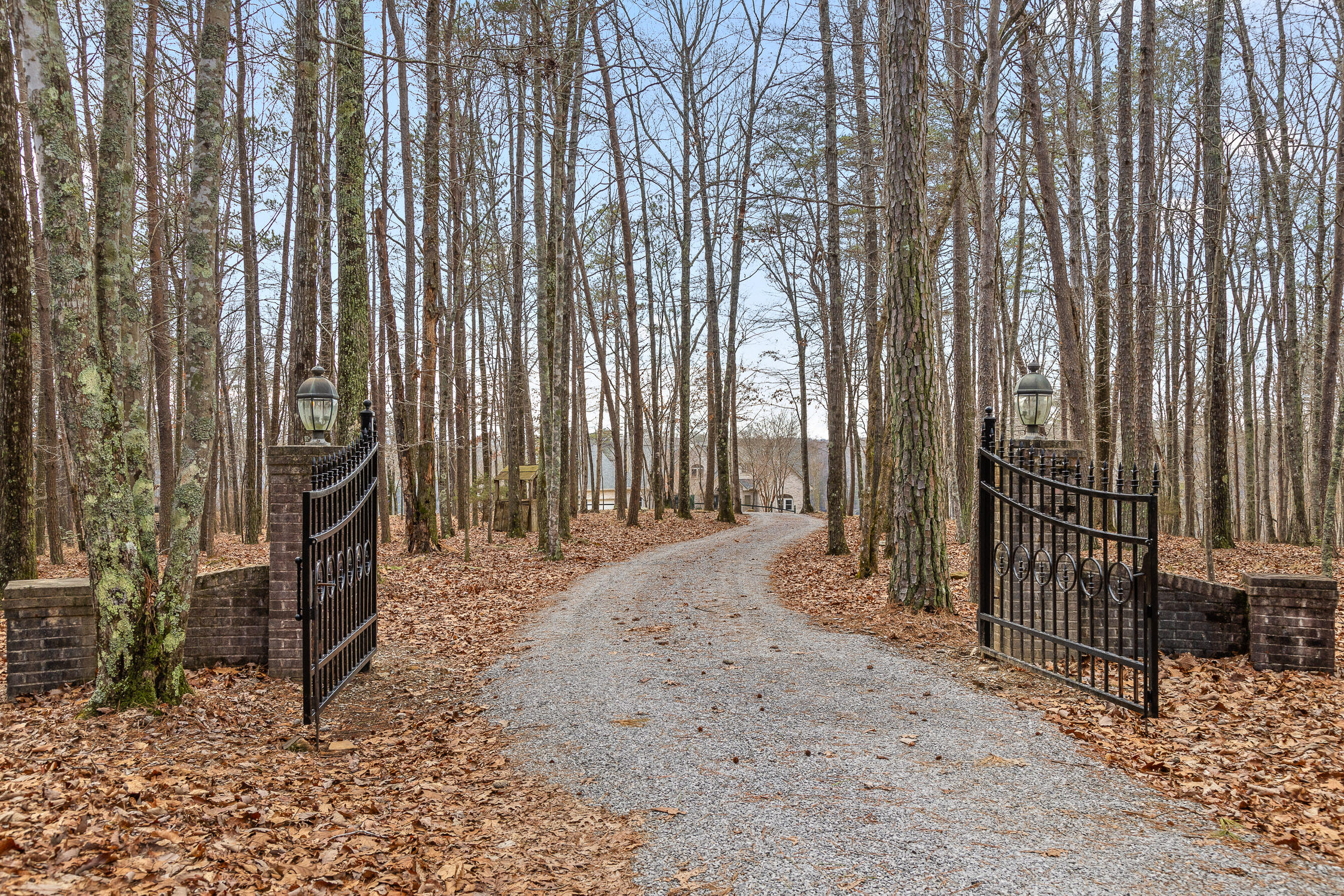 3222 County Road 863, Gaylesville, Alabama image 6