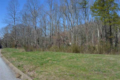 Vacant Land For Sale - LOTS 1& 2 County Road 321<br/> Niota, TN 37826