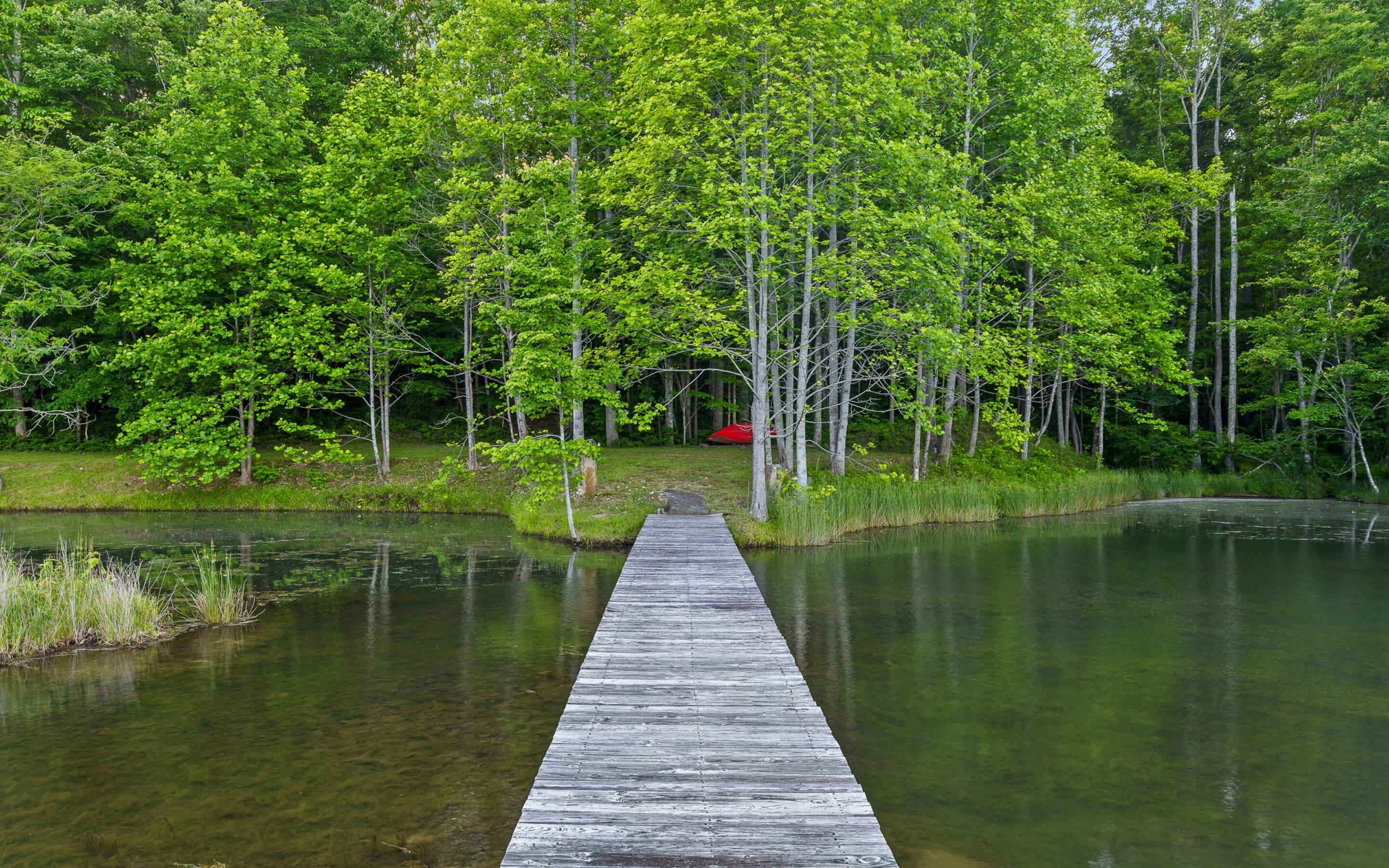55 Mountain Farms Road, Signal Mountain, Tennessee image 9