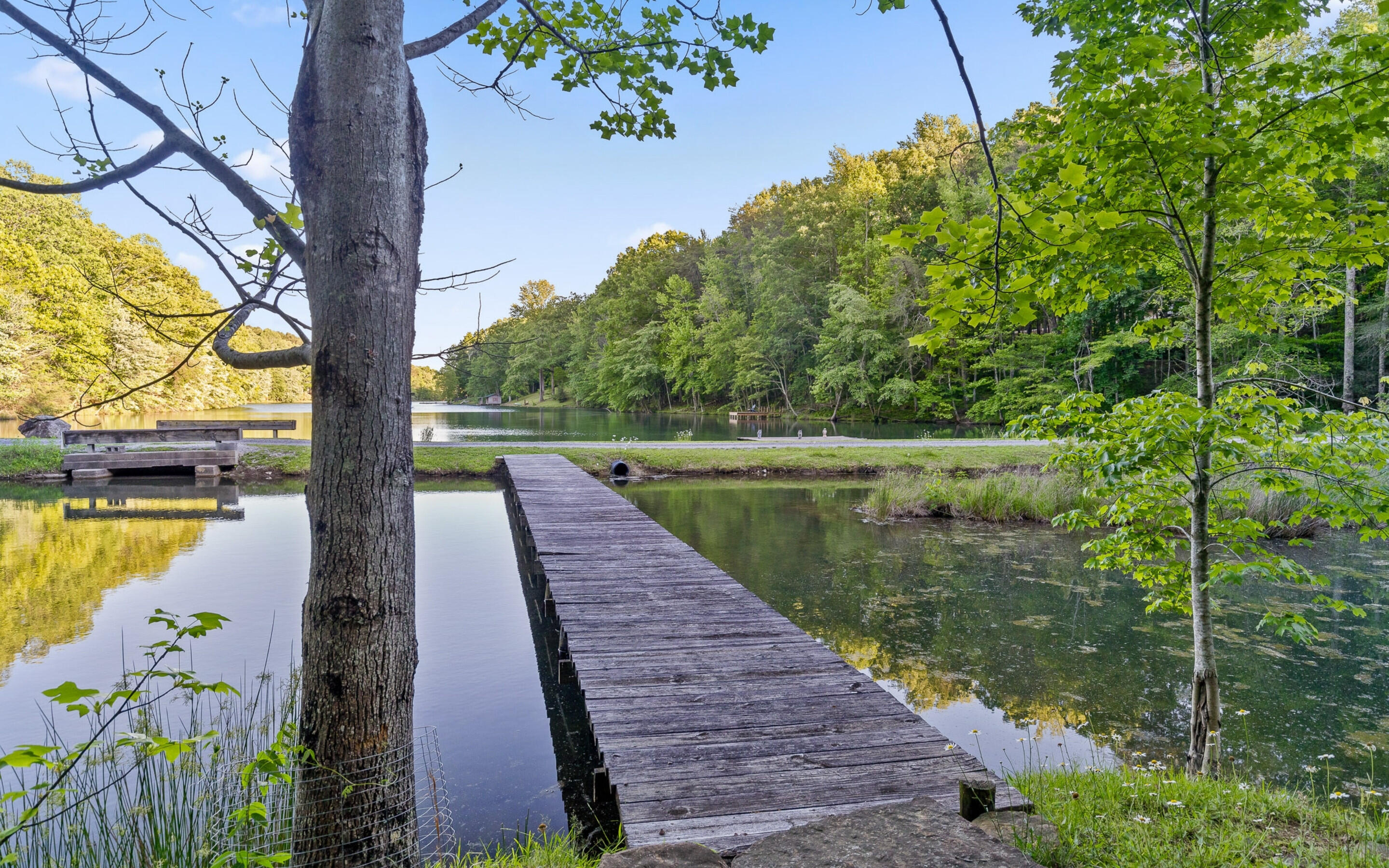 55 Mountain Farms Road, Signal Mountain, Tennessee image 48