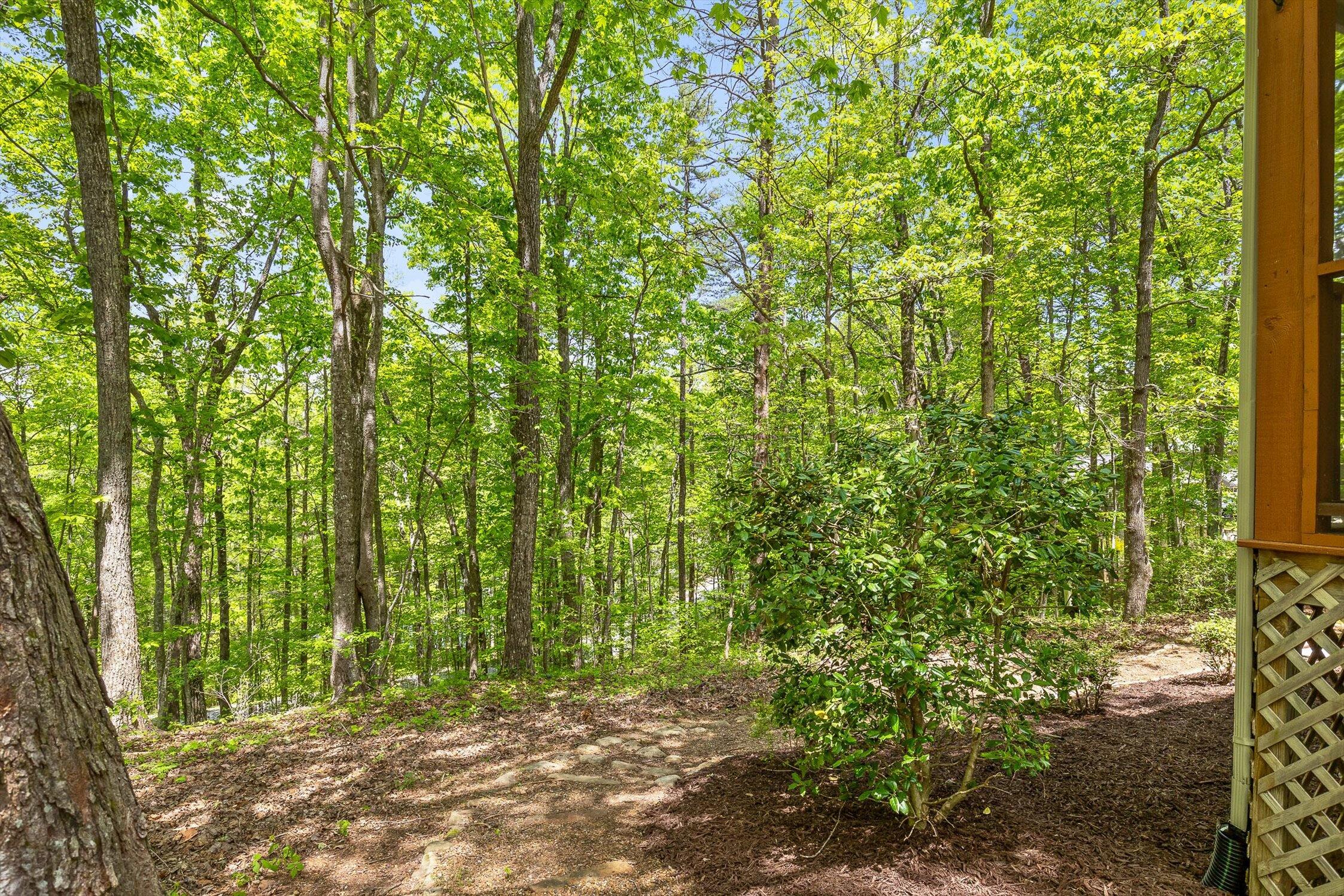 2661 Boston Branch Circle, Signal Mountain, Tennessee image 40