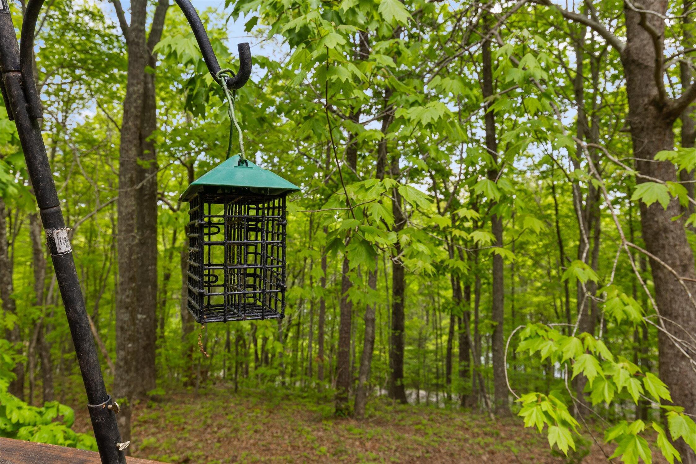 2661 Boston Branch Circle, Signal Mountain, Tennessee image 38
