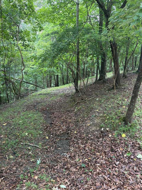 Photo of 422 Zeblin Road, Ellijay, GA 30540 (MLS # 1540101)