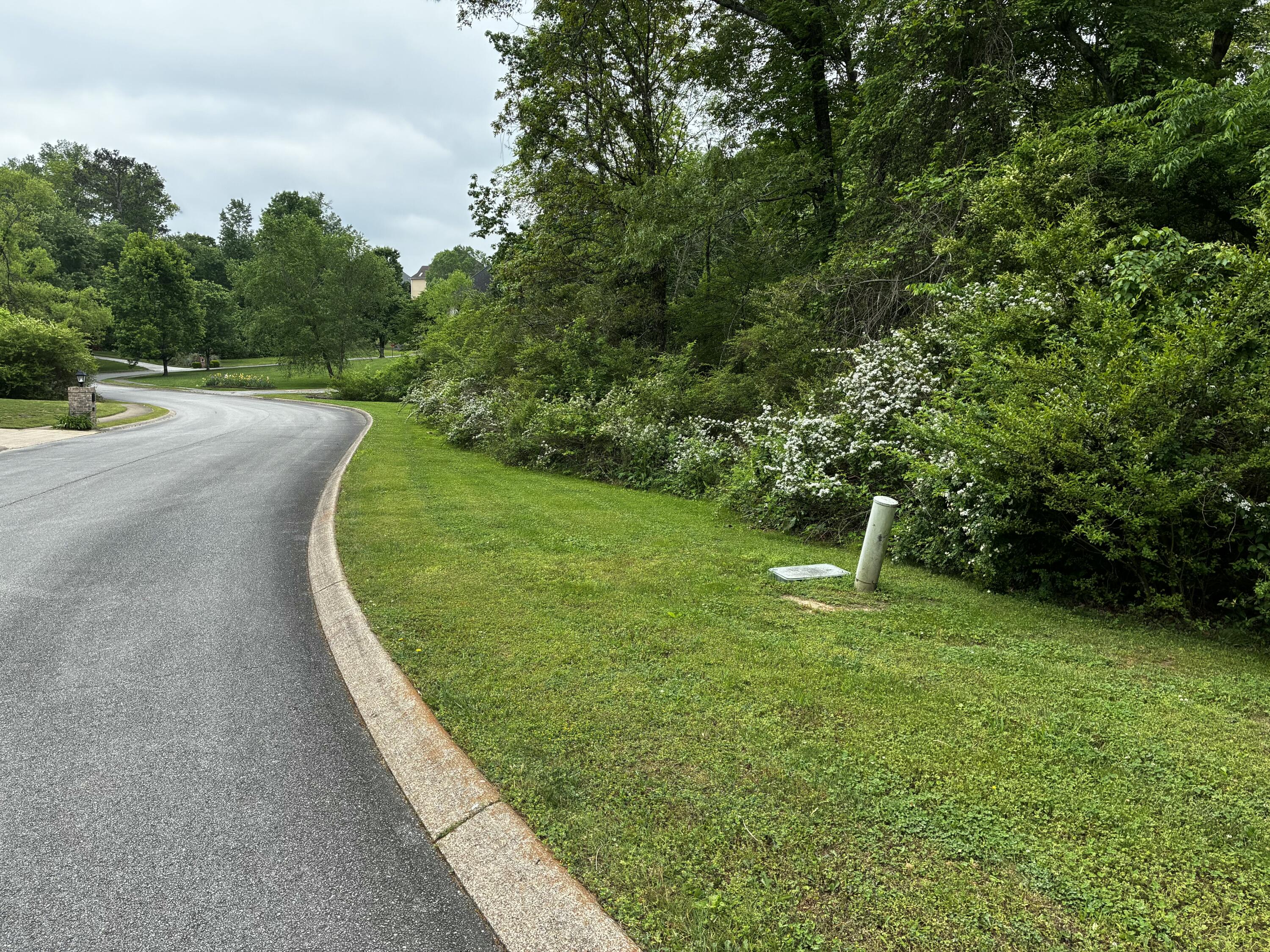 Dayflower Drive, Ooltewah, Tennessee image 3