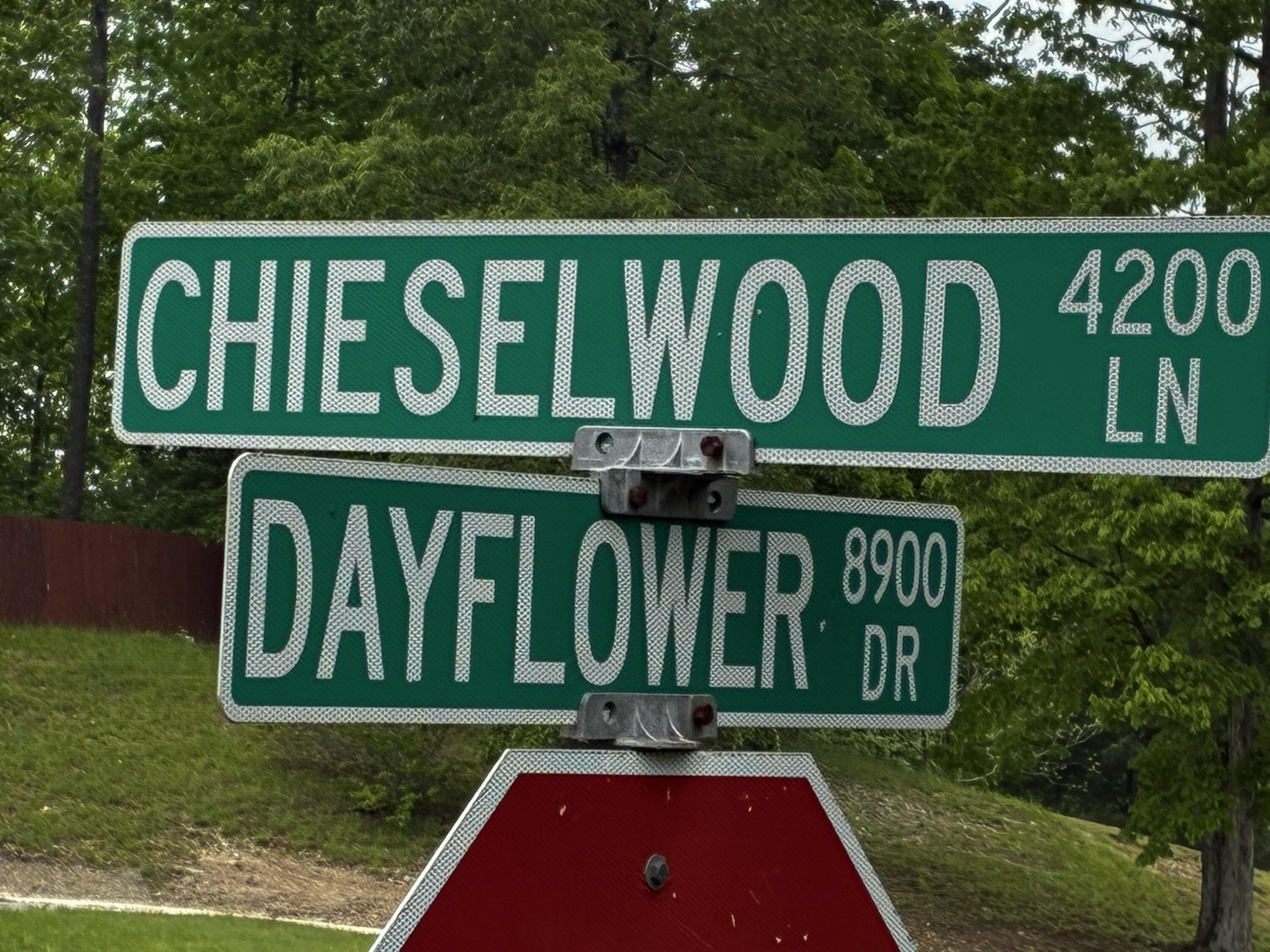 Dayflower Drive, Ooltewah, Tennessee image 2