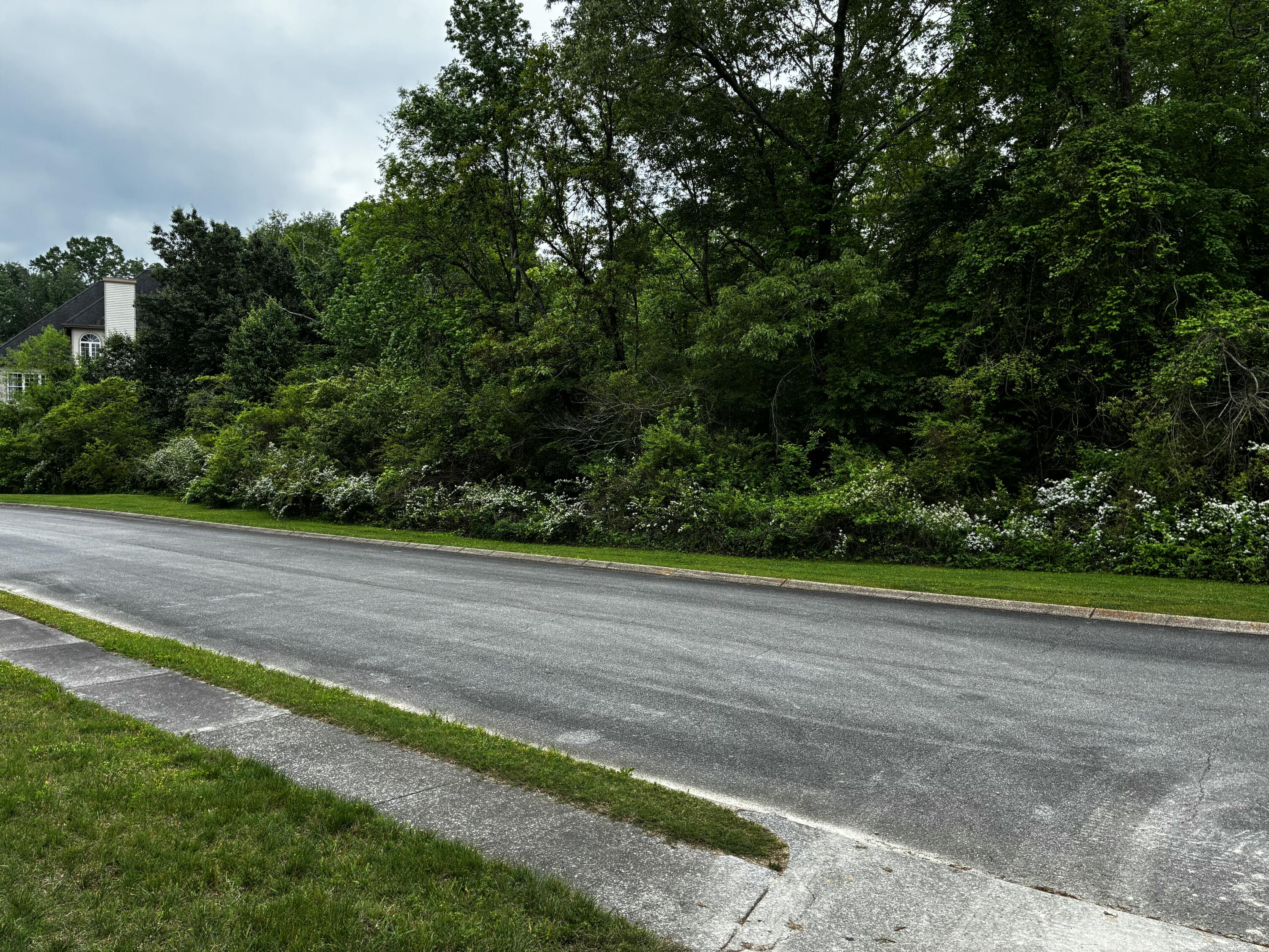 Dayflower Drive, Ooltewah, Tennessee image 4